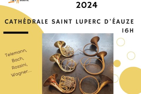 concert cathedrale 3 nov 2024