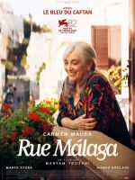 Cinéma d'Eauze - Rue Malaga (vost)